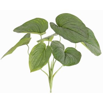 Plante artificielle hosta RAIATEA sur tige, verte, 65cm