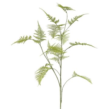 Branche décorative d'Asparagus plumosus UHERA, verte, 140 cm Branche décorative d'Asparagus plumosus UHERA, verte, 140 cm