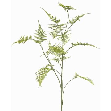 Branche décorative d'Asparagus plumosus UHERA, verte, 140cm Branche décorative d'Asparagus plumosus UHERA, verte, 140cm