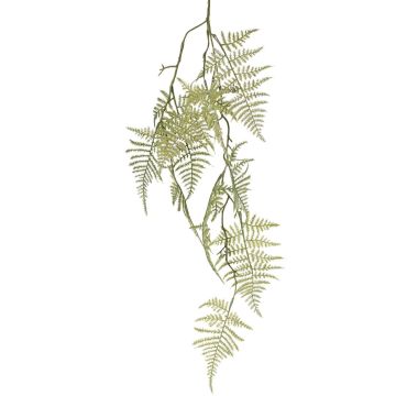 Branche décorative d'Asparagus plumosus UHERA, verte, 90 cm Branche décorative d'Asparagus plumosus UHERA, verte, 90 cm