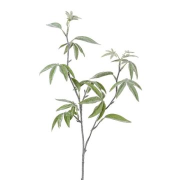 Branche décorative Schefflera elegantissima DREVAL, givré, blanc-vert, 65cm