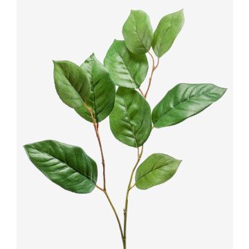 Branche de pommier artificielle KONSTANTIN, vert, 75cm Branche de pommier artificielle KONSTANTIN, vert, 75cm