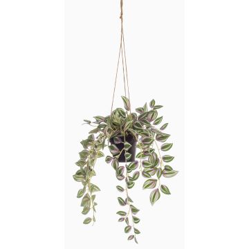 Panier suspendu avec Tradescantia zebrina artificiel SPROUT en pot décoratif, vert, 40cm Panier suspendu avec Tradescantia zebrina artificiel SPROUT en pot décoratif, vert, 40cm