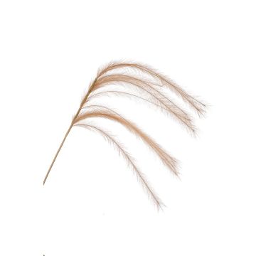 Branche artificielle Panicules de stipa LUMINIA, beige, 135cm