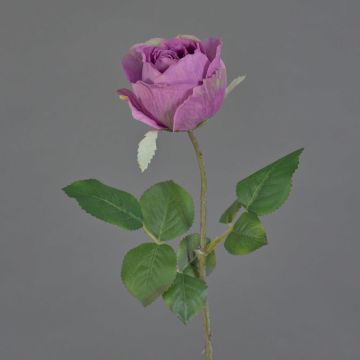 Fleur artificielle Rose POPI, violet-vert, 55cm