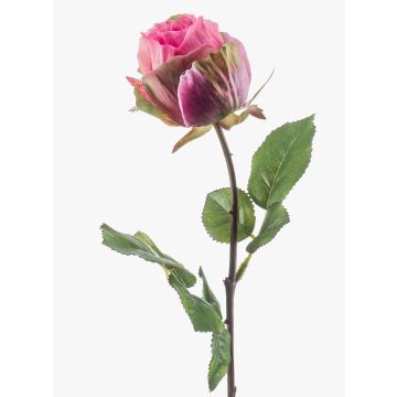 Fleur artificielle Rose POPI, fuchsia-vert, 55cm