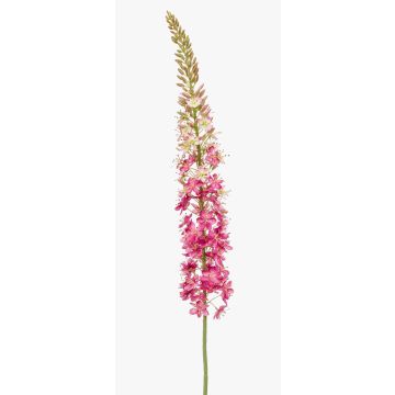 Fleur artificielle Eremurus NITTI, fuchsia, 130cm