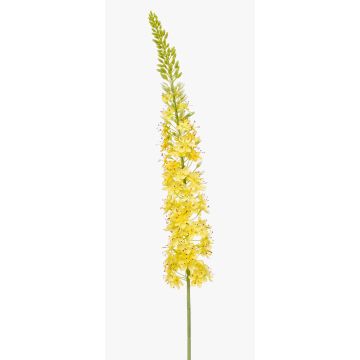 Fleur artificielle Eremurus NITTI, jaune, 130cm