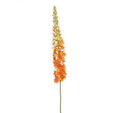 Fleur artificielle Eremurus NITTI, orange, 130cm