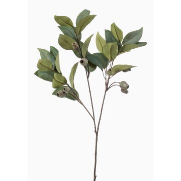 Branche d'eucalyptus décorative VIZIMIR avec des fruits, vert, 80cm