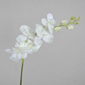 Branche d'orchidée Phalaenopsis artificielle AMARNE, blanche, 85 cm, Ø 7-11 cm
