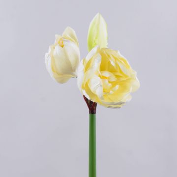 Amaryllis artificielle GRELTA, crème-jaune, 80cm Amaryllis artificielle GRELTA, crème-jaune, 80cm