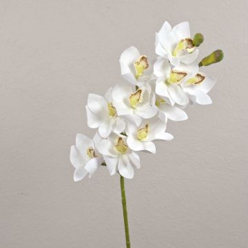 Branche d'orchidée Cymbidium artificielle LANAKILA, blanche, 70 cm, Ø 9 cm Branche d'orchidée Cymbidium artificielle LANAKILA, blanche, 70 cm, Ø 9 cm