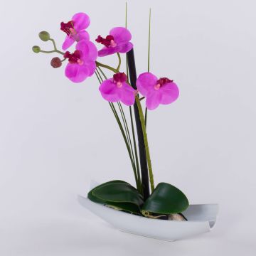 Orchidée artificielle Phalaenopsis YANNIE, roseau, coupelle en céramique, cerise, 30 cm Orchidée artificielle Phalaenopsis YANNIE, roseau, coupelle en céramique, cerise, 30 cm