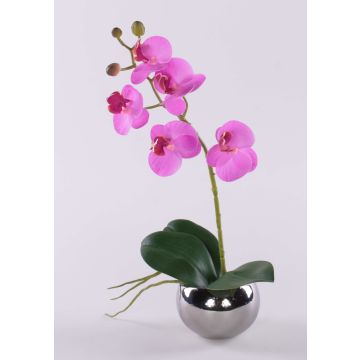 Orchidée Phalaenopsis décorative ZARMINAH en pot en céramique, racines, cerise, 30 cm Orchidée Phalaenopsis décorative ZARMINAH en pot en céramique, racines, cerise, 30 cm