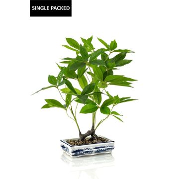 Bonsai artificielle Pachira IVANO en Coupe en céramique à motif get, vert, 60cm