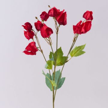 Branche artificielle Physalis SEVERINA avec des fruits, rouge, 60cm