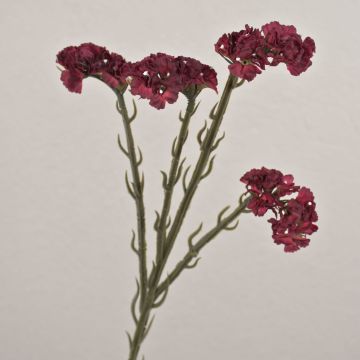 Fleur artificielle « lavande de plage » AYISHA, aspect séché, rouge foncé, 65 cm, 3,5 x 6 cm Fleur artificielle « lavande de plage » AYISHA, aspect séché, rouge foncé, 65 cm, 3,5 x 6 cm