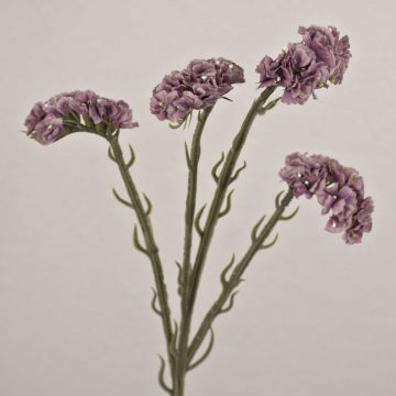 Fleur artificielle « lavande de plage » AYISHA, aspect séché, violet clair, 65 cm, 3,5 x 6 cm Fleur artificielle « lavande de plage » AYISHA, aspect séché, violet clair, 65 cm, 3,5 x 6 cm