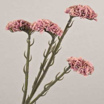 Fleur artificielle « Strandflieder » AYISHA, aspect séché, vieux rose, 65 cm, 3,5 x 6 cm Fleur artificielle « Strandflieder » AYISHA, aspect séché, vieux rose, 65 cm, 3,5 x 6 cm