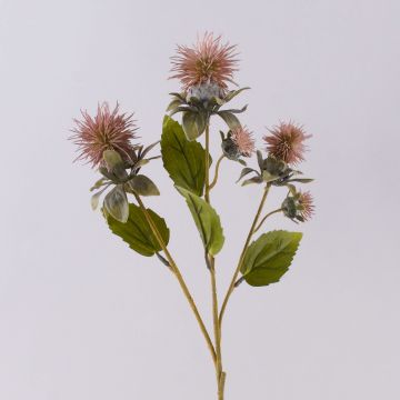 Branche de carthame des teinturiers en plastique VALDISOLI, aspect sec, vieux rose, 55cm