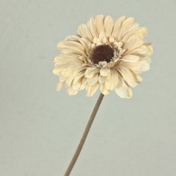 Fleur en plastique Gerbera TUNGUSKA, aspect sec, crème-beige, 50cm Fleur en plastique Gerbera TUNGUSKA, aspect sec, crème-beige, 50cm