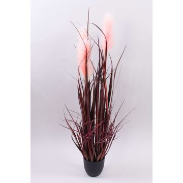 Herbe de la Pampa décorative WERNHILD avec des panicules, pot décoratif, rouge-brun, 90cm