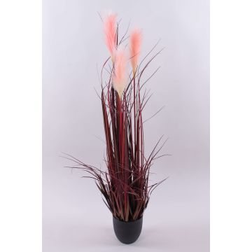 Herbe de la Pampa décorative WERNHILD avec des panicules, pot décoratif, rouge-brun, 120cm Herbe de la Pampa décorative WERNHILD avec des panicules, pot décoratif, rouge-brun, 120cm