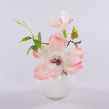 Magnolia artificiel FEMI dans un pot en céramique blanc, crème-abricot, 20 cm, Ø 17 cm Magnolia artificiel FEMI dans un pot en céramique blanc, crème-abricot, 20 cm, Ø 17 cm