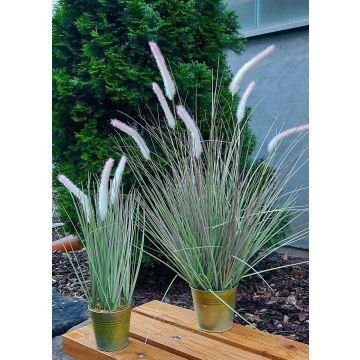 Pennisetum alopecuroides artificiel SVERRE avec des panicules, pot en zinc, rose-vert, 50cm