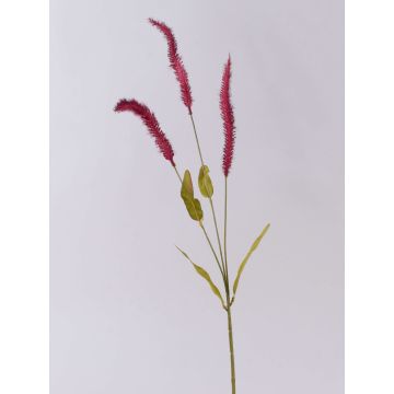 Branche d'herbe décorative Liriope JELIKANTA avec des panicules, rouge bourgogne, 75cm