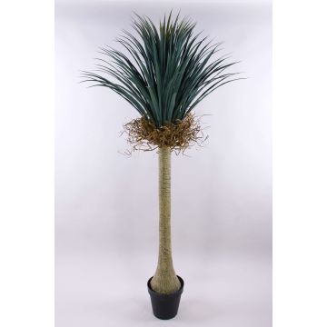 Yucca rostrata artificiel HARDIN, pot décoratif, 180cm