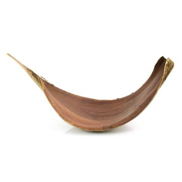Grande feuille de cocotier séchée CHIPUNA, marron, 30-120cm Grande feuille de cocotier séchée CHIPUNA, marron, 30-120cm
