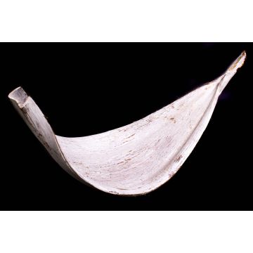 Grande feuille de cocotier séchée CHIPUNA, blanchie à la chaux, 30-80 cm