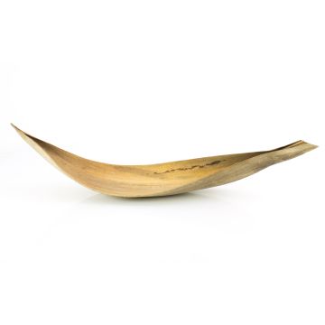 Grande feuille de cocotier séchée CHIPUNA, beige-marron, 60-80 cm Grande feuille de cocotier séchée CHIPUNA, beige-marron, 60-80 cm
