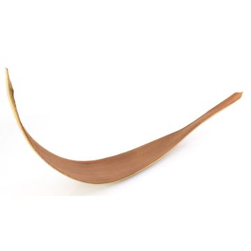 Grande feuille de cocotier séchée CHIPUNA, beige-marron, 115cm Grande feuille de cocotier séchée CHIPUNA, beige-marron, 115cm