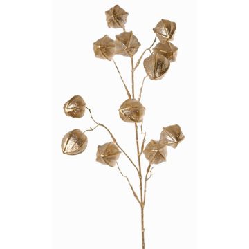 Branche décorative de physalis DUGONG avec fruits, dorée, 90cm Branche décorative de physalis DUGONG avec fruits, dorée, 90cm