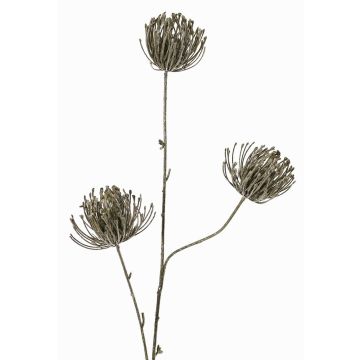Branche artificielle coussin à épingles Protea KAPO avec paillettes, vert olive, 85cm, Ø8cm Branche artificielle coussin à épingles Protea KAPO avec paillettes, vert olive, 85cm, Ø8cm