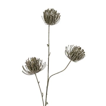 Branche artificielle « coussin à épingles » Protea KAPO avec paillettes, vert olive, 85 cm, Ø 8 cm Branche artificielle « coussin à épingles » Protea KAPO avec paillettes, vert olive, 85 cm, Ø 8 cm