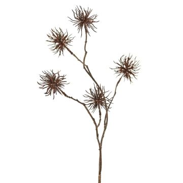 Branche artificielle de hamamélis NUMBAT avec fleurs, marron, 70 cm, Ø 6 cm Branche artificielle de hamamélis NUMBAT avec fleurs, marron, 70 cm, Ø 6 cm