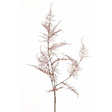 Branche artificielle d'Asparagus acutifolius NYALA, vieux rose, 85 cm Branche artificielle d'Asparagus acutifolius NYALA, vieux rose, 85 cm