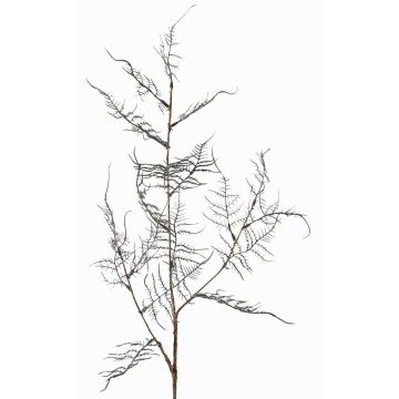 Branche artificielle d'Asparagus acutifolius NYALA, vert foncé, 85cm Branche artificielle d'Asparagus acutifolius NYALA, vert foncé, 85cm