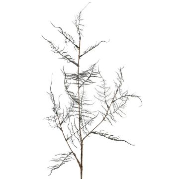 Branche artificielle d'Asparagus acutifolius NYALA, vert foncé, 85 cm Branche artificielle d'Asparagus acutifolius NYALA, vert foncé, 85 cm