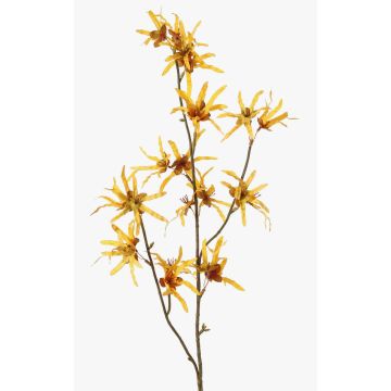 Branche de hamamélis artificielle ORAFA avec fleurs, jaune ocre, 80cm, Ø4-8cm Branche de hamamélis artificielle ORAFA avec fleurs, jaune ocre, 80cm, Ø4-8cm