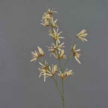 Branche de hamamélis artificielle ORAFA avec fleurs, beige, 80 cm, Ø 4-8 cm Branche de hamamélis artificielle ORAFA avec fleurs, beige, 80 cm, Ø 4-8 cm