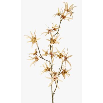 Branche de hamamélis artificielle ORAFA avec fleurs, beige, 80cm, Ø4-8cm Branche de hamamélis artificielle ORAFA avec fleurs, beige, 80cm, Ø4-8cm