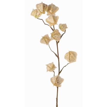 Branche artificielle de physalis AINOS, fruits, paillettes, crème, 80cm Branche artificielle de physalis AINOS, fruits, paillettes, crème, 80cm