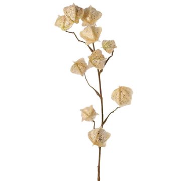 Branche artificielle de physalis AINOS, fruits, paillettes, crème, 80 cm