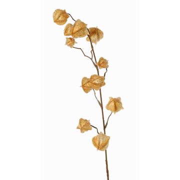 Branche artificielle de physalis AINOS, fruits, paillettes, beige, 80cm Branche artificielle de physalis AINOS, fruits, paillettes, beige, 80cm