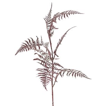 Branche décorative d'Asparagus plumosus GIONA, rouge foncé, 85 cm Branche décorative d'Asparagus plumosus GIONA, rouge foncé, 85 cm